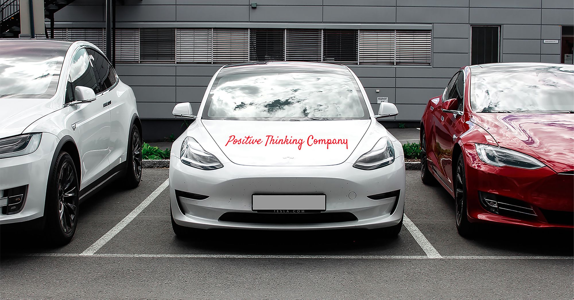 Positive Thinking Company vehicles